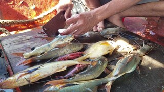 CANH KHÓM • Nấu Ăn Bữa Cơm Trên Ghe | Ngư Dân Miền Tây