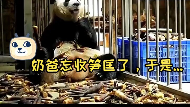 The dad forgot to set aside his share of bamboo shoots, ate it all, and kept on working.