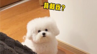 Puppy: Okay, you want to play this trick on me?