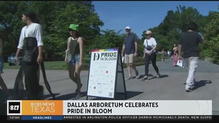Dallas Arboretum celebrates Pride in Bloom