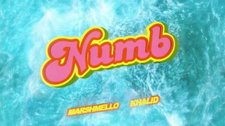 Marshmello x Khalid - Numb (Visualizer)