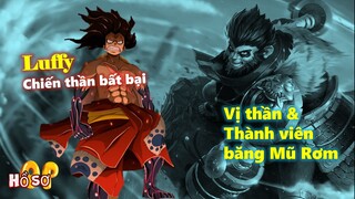 Chiến thần bất bại Luffy? Top hình mẫu thành viên băng Mũ Rơm trong thần thoại!