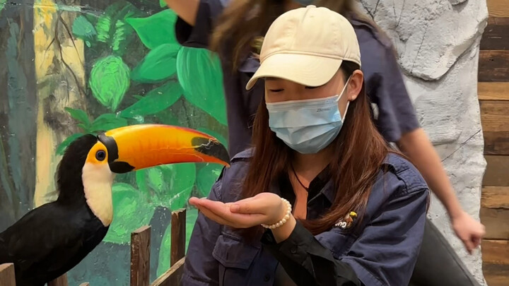 لا بد من زيارة حديقة الحيوانات في تشانغشا خلال عطلة مايو، حيث يمكنك لمس الحيوانات وإطعامها!