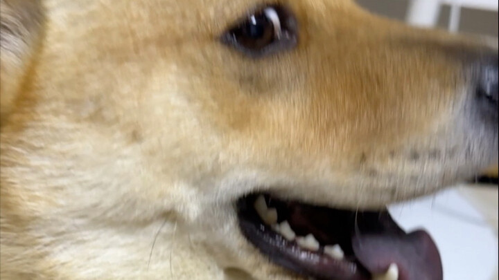 สุดยอดไปเลย!