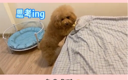 Tu Tu Treats Everyone to Ice Cream