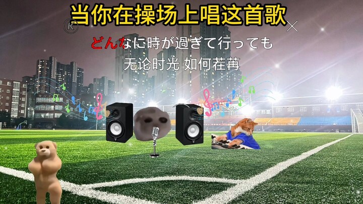 【starlight】银河奥特曼片尾曲 [猫meme]