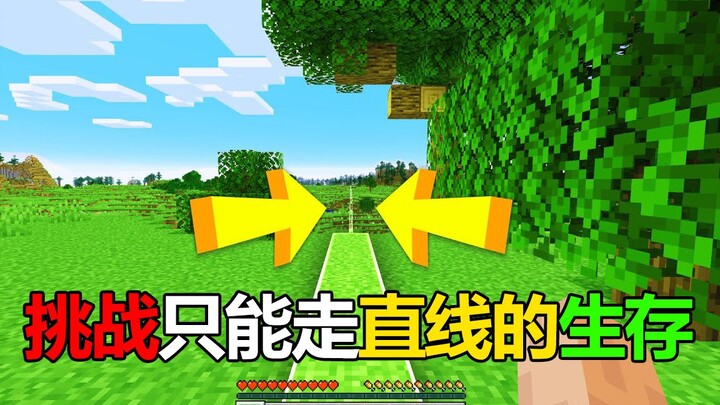 Minecraft: Survival Where You Can Only Move in Straight Lines! Can You Dig Up Diamonds?