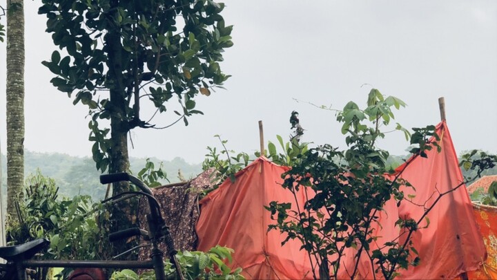 SONG CASUAL FOOTBALL🥶