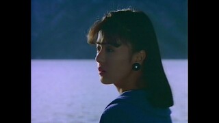Hiroko Yakushimaru 薬師丸ひろ子 40th Anniversary BOX - Music Videos