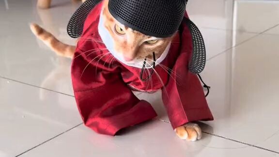一起玩