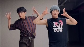 يا له من استقرار! رقص ريكيمارو أغنية مايسترو لفرقة SEVENTEEN.