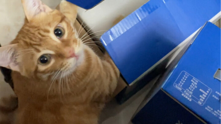 He actually “hmm-ed” at me—what are you “hmm-ing” about?