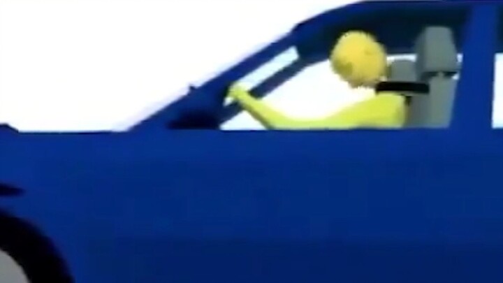 Super Safe & Reliable Neck Safety Harness