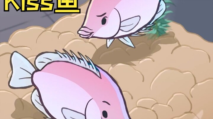 【เกร็ดความรู้เล็กๆ】ปลาจูบ💋🐟 โดย sqftfish