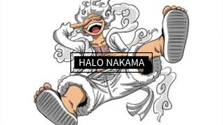 HALO NAKAMA