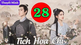TÍCH HOA CHỈ - Tập 28 (Thuyết Minh) | Trương Tịnh Nghi & Hồ Nhất Thiên