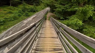 为什么安静的时候反而睡不着呢