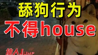 【กระโดด】พฤติกรรมหมาเลีย ไม่มีบ้าน