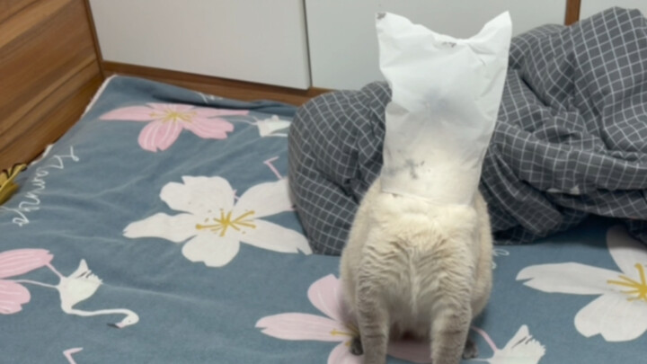 Thuốc kiểm soát mẹ và con gái