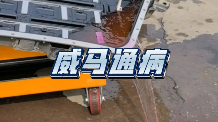 ปัญหาเรื้อรังของเว่ยหม่ามาอีกแล้ว! รู้แผนรับมือล่วงหน้า ที่เหลือแค่หลักพันหรือหลักหมื่นจริงๆ ไม่เกิน