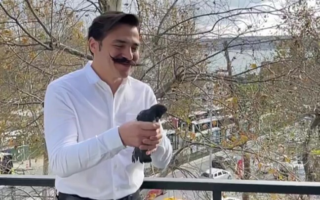 Releasing little birds