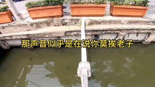 【晚吟TG】视频加载中，速速查收惊喜！