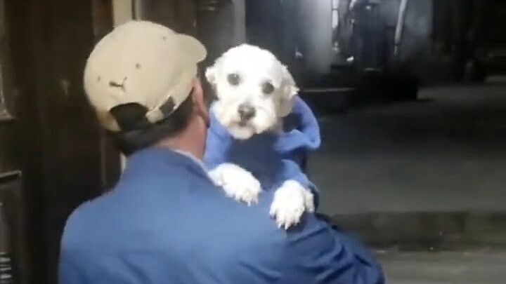 There are always lives that come to heal you...