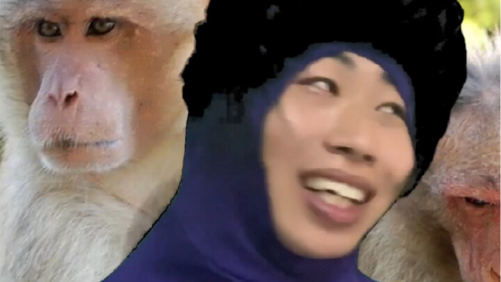 Why Are the Monkeys in Cherry Blossom Country So Fierce?