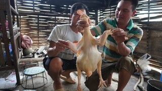 BỮA CƠM GÀ CỤ 4 NĂM TẠI NHÀ CHÚ ANH