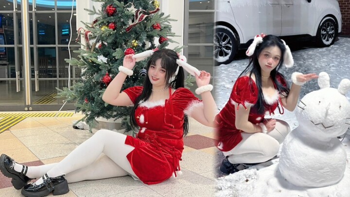 Hadiah Natal Anda adalah seekor kelinci!