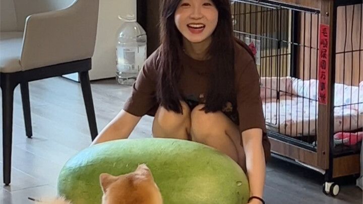 วันนี้กินแตงโมลูกใหญ่ทั้งลูกเลย