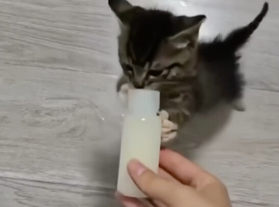 Anh ấy thật thiếu kiên nhẫn, haha.