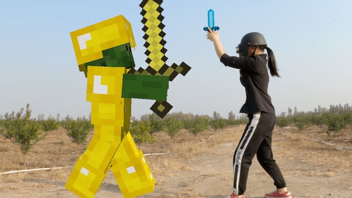 (Minecraft Live-Action) Công dụng thực sự của clearlag