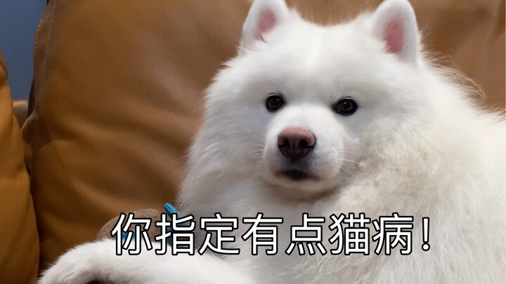 Biết trước là anh thích chơi thế này, tôi đã không gọi tên anh rồi.