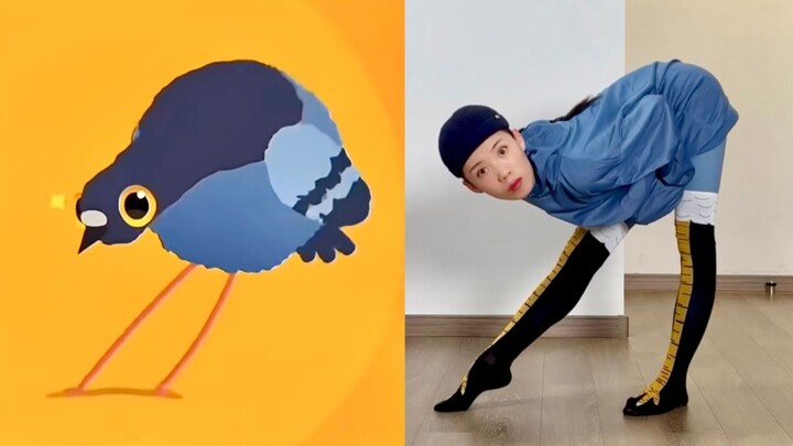 Vũ điệu sấm sét? Những chú chim bồ câu điên cuồng!