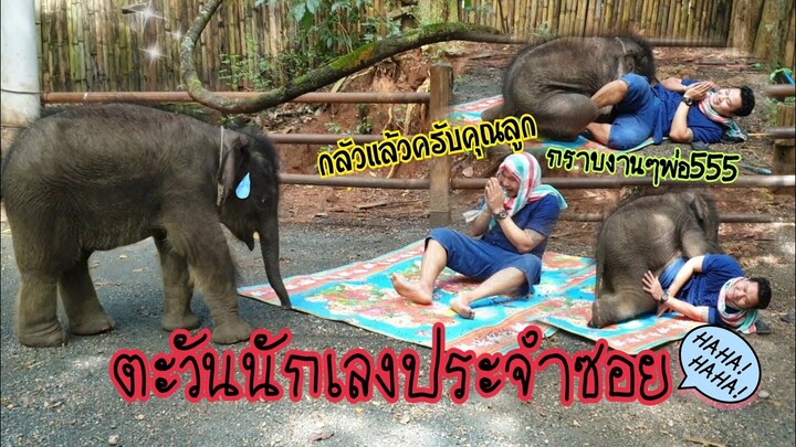 น้องตะวันเป็นนักเลงขาใหญ่ประจำซอย