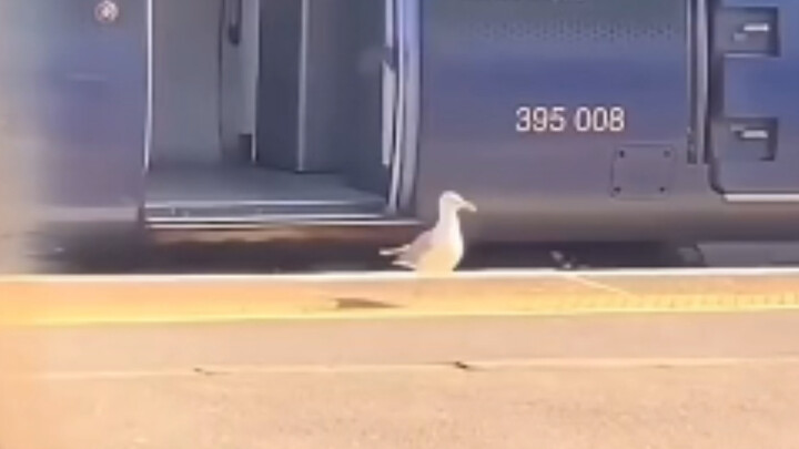 【แนวคิดแหวกแนว#91】ยุคนี้ใครจะอพยพแล้วบินเองกันล่ะ