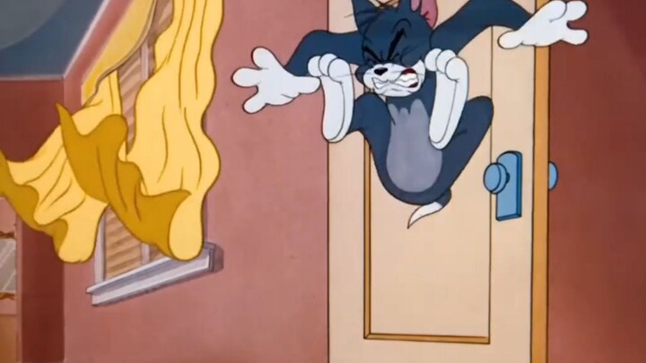Tom and Jerry | Buddies and Lifes Compilation
