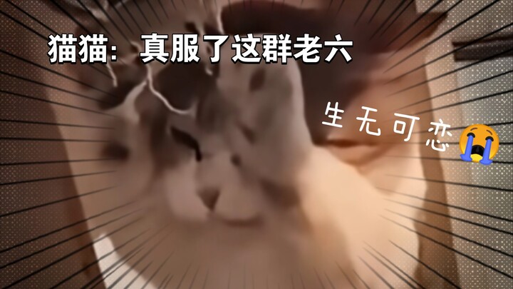 This… even a pervert would think it’s sickening 🤣