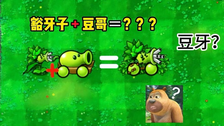 Gigi ompong + Kakak Dou = Douya? Kacang kecambah seperti apa yang paling kuat?