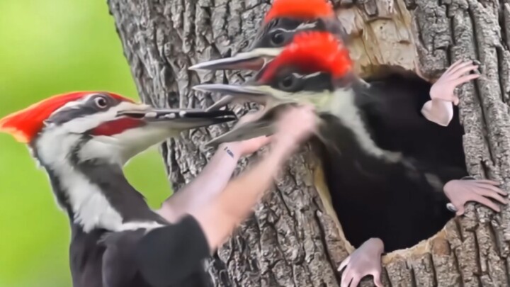 “Share the fun stuff with people who won’t brush you off.”