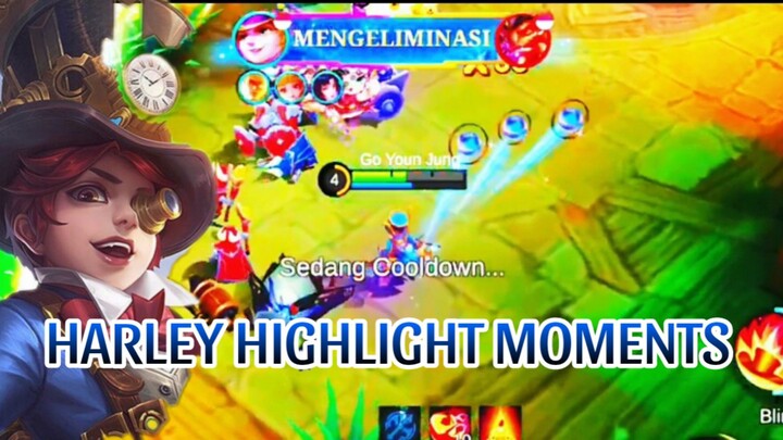 HARLEY HIGHLIGHT MOMENTUM