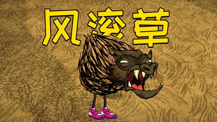 Chơi Genshin Impact trong Don't Starve: Cây gió kỳ 1: Khởi đầu với ba con chó vương, vận may của tôi