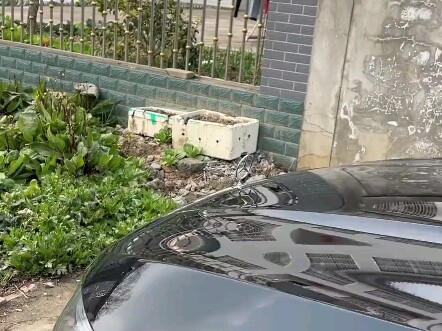Kenapa bisa ada mobil abal-abal? Pasti si pemiliknya tidak jujur dan tidak bermoral!