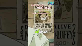 Nami coi như không quen Zoro - tập 49 #onepiece #luffy #anime