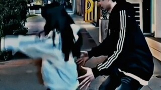 Làn sóng thức ăn cho chó này thực sự được ăn rất kỹ