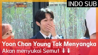 Yoon Chan Young Tak Menyangka Akan menyukai Semut 🐜🐜 #TheSixthSense3 🇮🇩INDO SUB🇮🇩