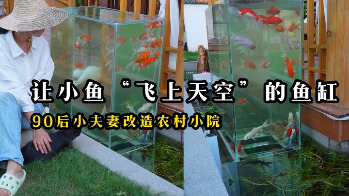 I built a sump-style aquarium in my fish pond, and the effect is amazing!