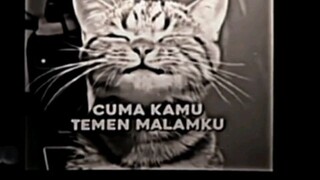 teman buat rebahan malam😁😁