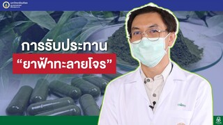 รายการสุขภาพดีศิริราช ตอน การรับประทาน "ยาฟ้าทะลายโจร"